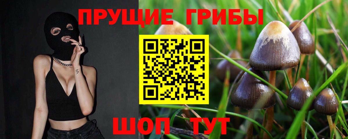 Псилоцибиновые грибы ЛСД  Вход с VPN  Кызыл  где можно купить наркотик  Галлюциногенные грибы Psilocybine cubensis 